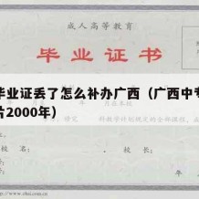 中专毕业证丢了怎么补办广西（广西中专毕业证图片2000年）