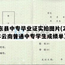 景东县中专毕业证实拍图片(2002年云南普通中专学生成绩单）