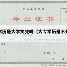 大专学历是大学文凭吗（大专学历是不是大学生）