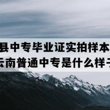 元阳县中专毕业证实拍样本(2009年云南普通中专是什么样子的）