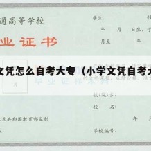 小学文凭怎么自考大专（小学文凭自考大专流程）