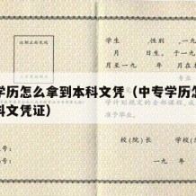 中专学历怎么拿到本科文凭（中专学历怎么拿到本科文凭证）