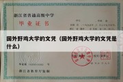 国外野鸡大学的文凭（国外野鸡大学的文凭是什么）