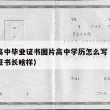 普通高中毕业证书图片高中学历怎么写（高中毕业证书长啥样）