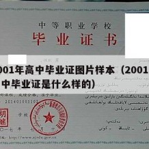 2001年高中毕业证图片样本（2001年高中毕业证是什么样的）