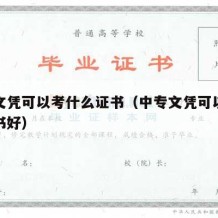 中专文凭可以考什么证书（中专文凭可以考什么证书好）