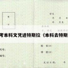 自考本科文凭进特斯拉（本科去特斯拉）