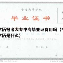 中专学历报考大专中专毕业证有用吗（中专考大学学历是什么）