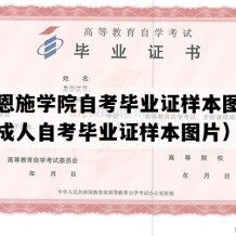 湖北恩施学院自考毕业证样本图片（湖北成人自考毕业证样本图片）