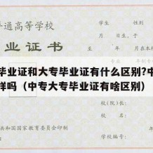 中专毕业证和大专毕业证有什么区别?中专学历一样吗（中专大专毕业证有啥区别）