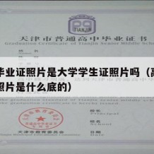 高中毕业证照片是大学学生证照片吗（高中毕业证照片是什么底的）