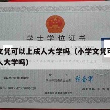 小学文凭可以上成人大学吗（小学文凭可以报考成人大学吗）