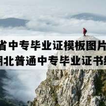 湖北省中专毕业证模板图片(2022年湖北普通中专毕业证书编号）