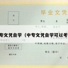 中专文凭自学（中专文凭自学可以考吗）