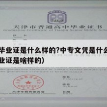 中专毕业证是什么样的?中专文凭是什么（中专毕业证是啥样的）