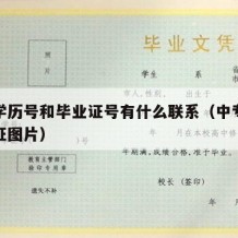 中专学历号和毕业证号有什么联系（中专学历毕业证图片）