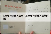 小学文凭上成人大学（小学文凭上成人大学好吗）