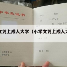 小学文凭上成人大学（小学文凭上成人大学好吗）