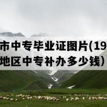 三亚市中专毕业证图片(1994年海南地区中专补办多少钱）