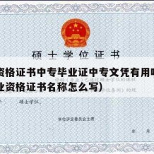 职业资格证书中专毕业证中专文凭有用吗（中专职业资格证书名称怎么写）