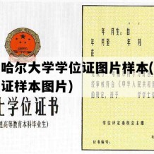 齐齐哈尔大学学位证图片样本(学士学位证样本图片)