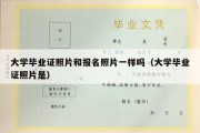 大学毕业证照片和报名照片一样吗（大学毕业证照片是）