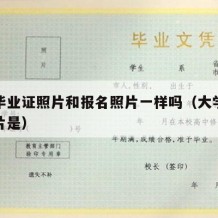 大学毕业证照片和报名照片一样吗（大学毕业证照片是）