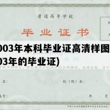 2003年本科毕业证高清样图(2003年的毕业证)