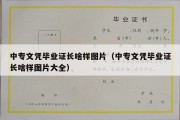 中专文凭毕业证长啥样图片（中专文凭毕业证长啥样图片大全）