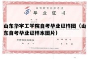 山东华宇工学院自考毕业证样图（山东自考毕业证样本图片）