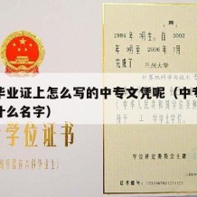 中专毕业证上怎么写的中专文凭呢（中专毕业证叫什么名字）