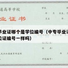 中专毕业证哪个是学位编号（中专毕业证编号和学位证编号一样吗）