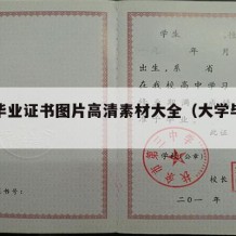 大学毕业证书图片高清素材大全（大学毕业证原图）