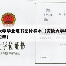 安徽大学毕业证书图片样本（安徽大学毕业证补办流程）