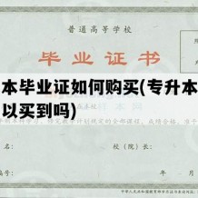 专升本毕业证如何购买(专升本毕业证可以买到吗)