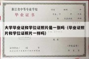 大学毕业证和学位证照片是一张吗（毕业证照片和学位证照片一样吗）