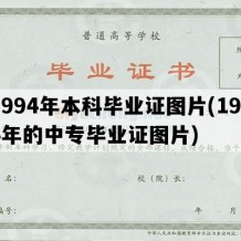 1994年本科毕业证图片(1994年的中专毕业证图片)