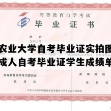 中国农业大学自考毕业证实拍图片（北京成人自考毕业证学生成绩单）