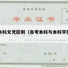 自考本科文凭区别（自考本科与本科学历一样吗）