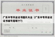 广东中专毕业证书图片大全（广东中专毕业证证书编号是哪个?）