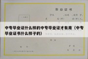 中专毕业证什么样的中专毕业证才有用（中专毕业证书什么样子的）