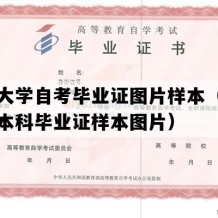 温州大学自考毕业证图片样本（浙江自考本科毕业证样本图片）