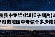 炎陵县中专毕业证样子图片(2004年湖南地区中专做个多少钱）