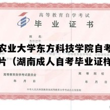 湖南农业大学东方科技学院自考毕业证图片（湖南成人自考毕业证样本）