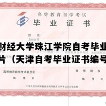 天津财经大学珠江学院自考毕业证模板图片（天津自考毕业证书编号）