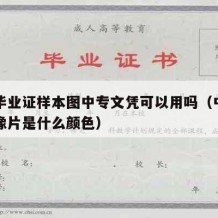 中专毕业证样本图中专文凭可以用吗（中专毕业证像片是什么颜色）