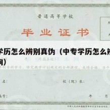 中专学历怎么辨别真伪（中专学历怎么辨别真伪查询）