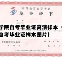 铜陵学院自考毕业证高清样本（安徽成人自考毕业证样本图片）