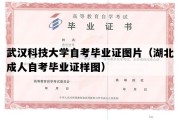 武汉科技大学自考毕业证图片（湖北成人自考毕业证样图）