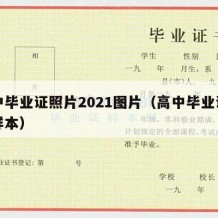 高中毕业证照片2021图片（高中毕业证图片样本）